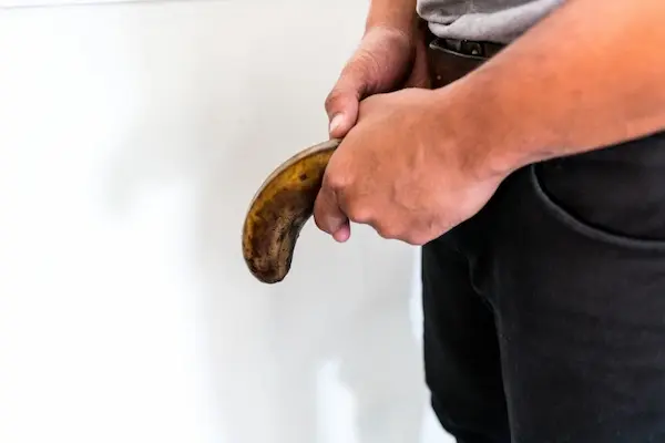 必利勁ptt西斯閒聊